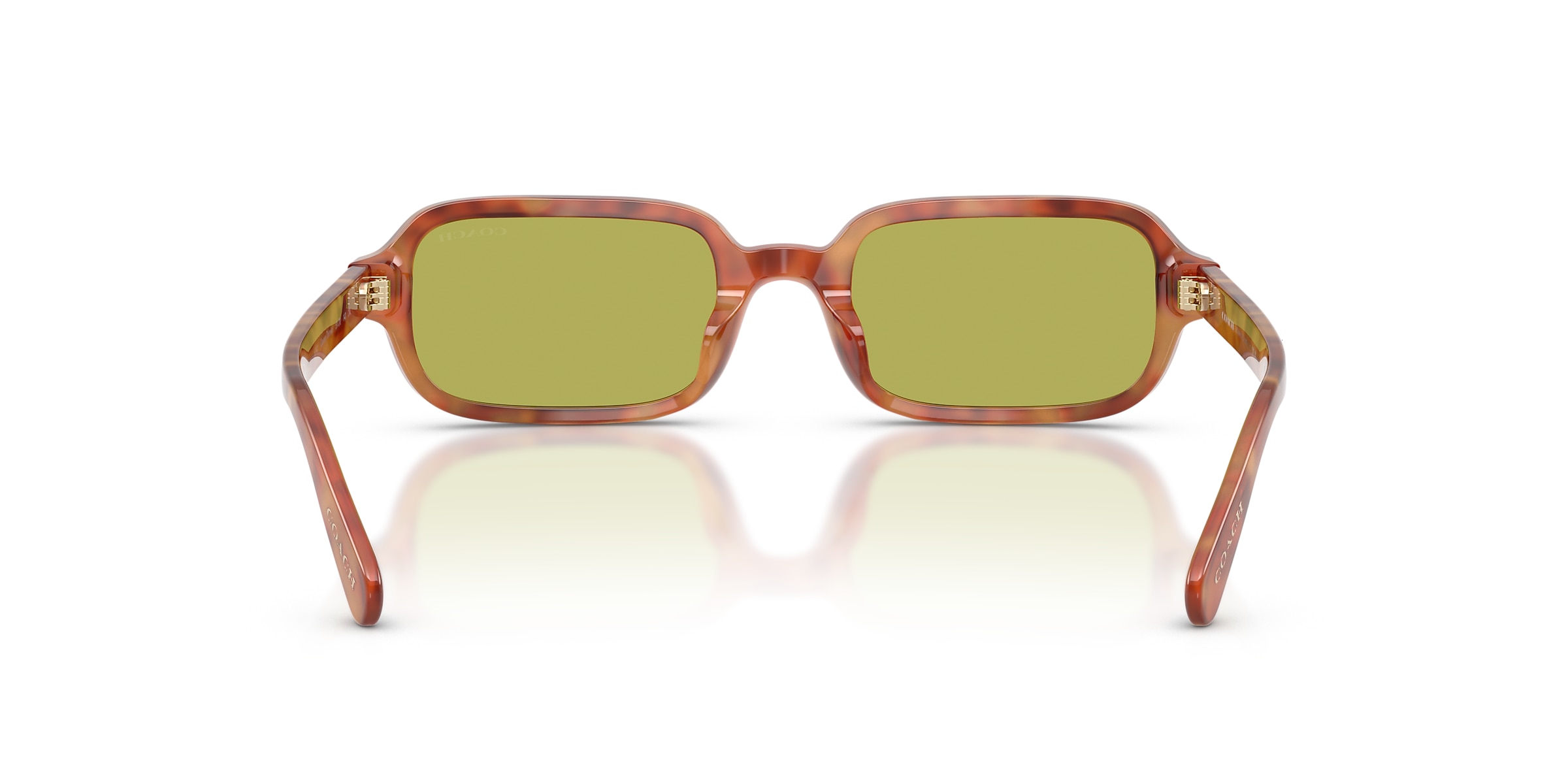 Coach Sunglasses HC8465U CFU11