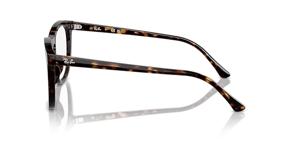 RB2210V OPTICS