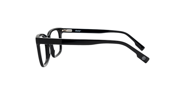Clearly Glasses DILL