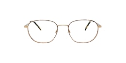 Clearly Glasses BIBURY