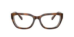 Diesel Glasses DL4003