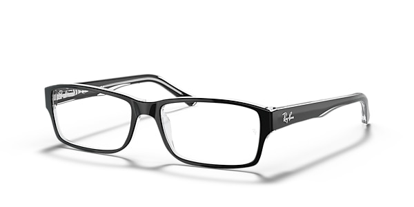 RB5169 OPTICS