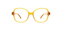 Clearly Glasses IBIS