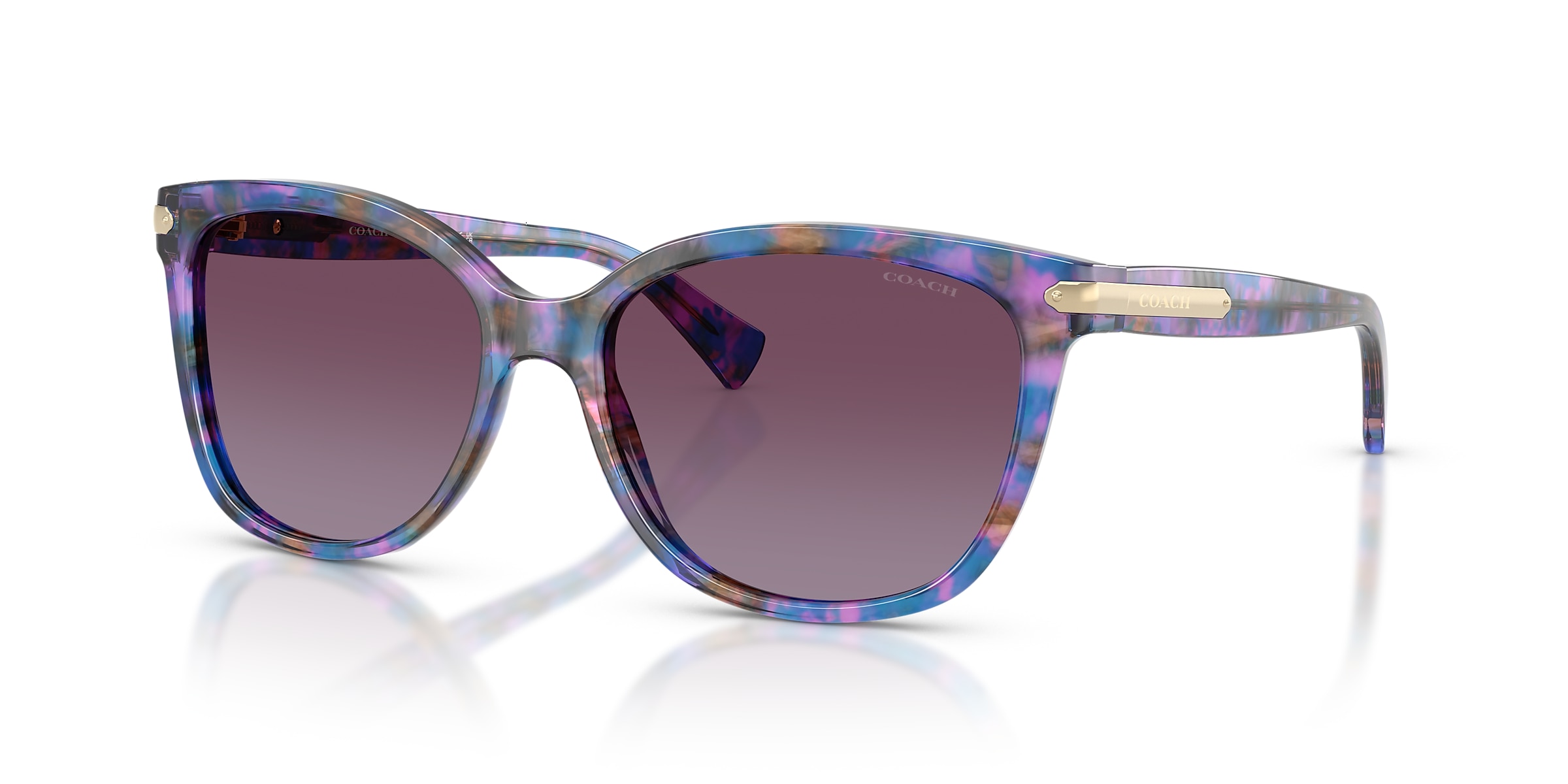 Coach Sunglasses HC8132 L109