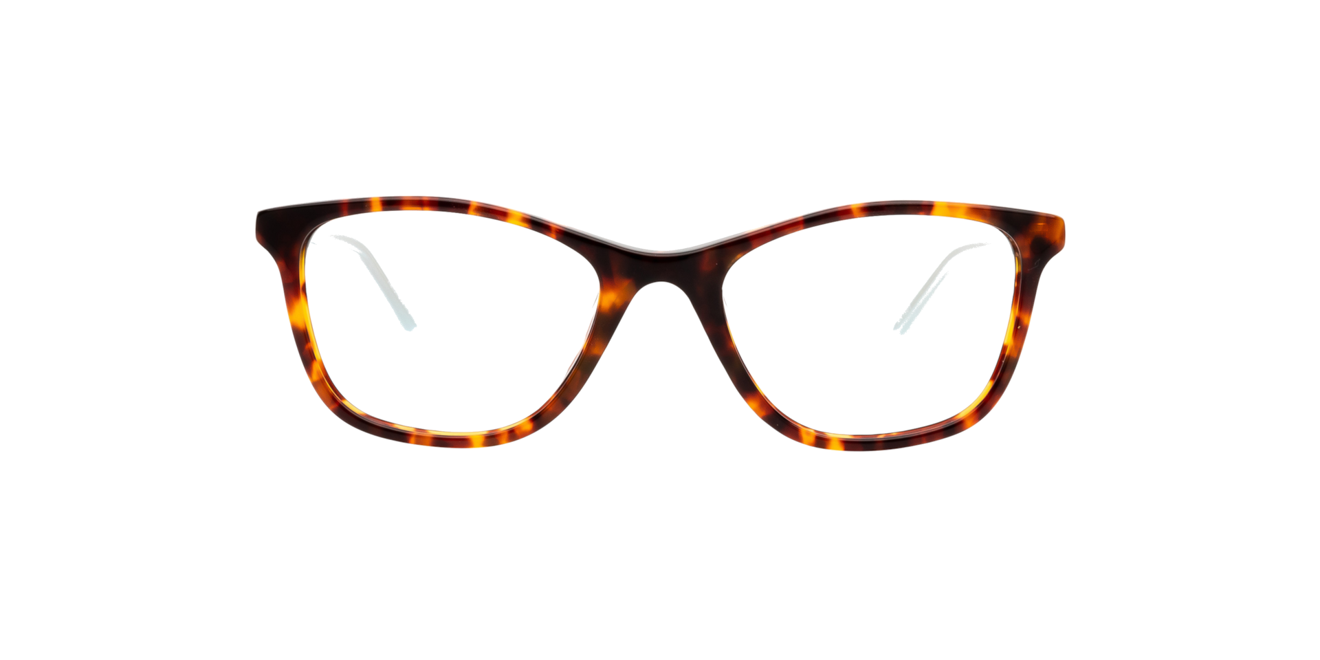 Clearly SAGITTA Havana, Size: XXS