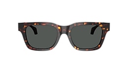 Versace Sunglasses VE4486