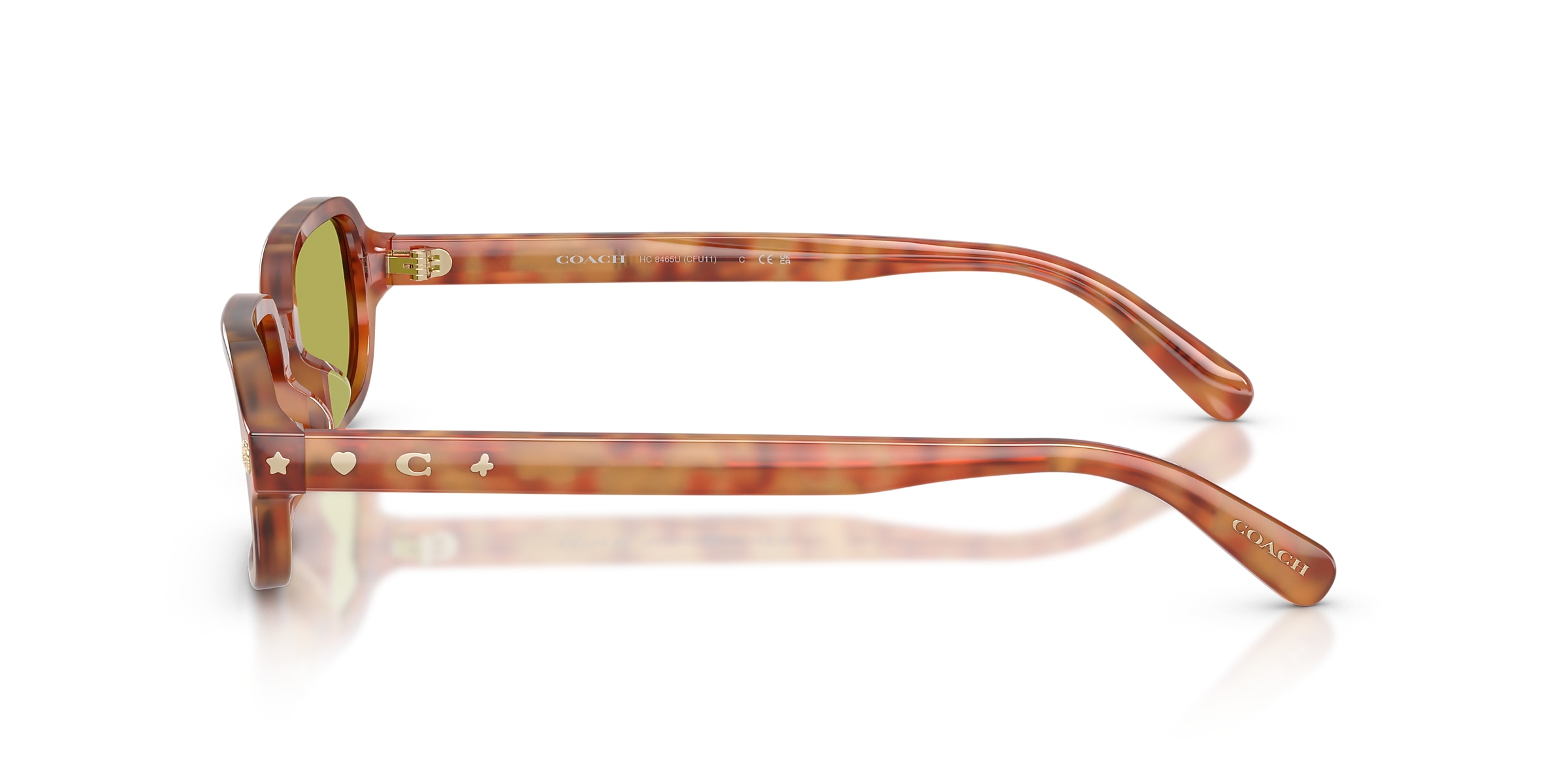 Coach Sunglasses HC8465U CFU11