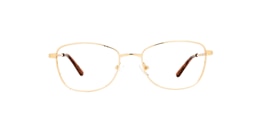 Clearly Glasses BERTRAND