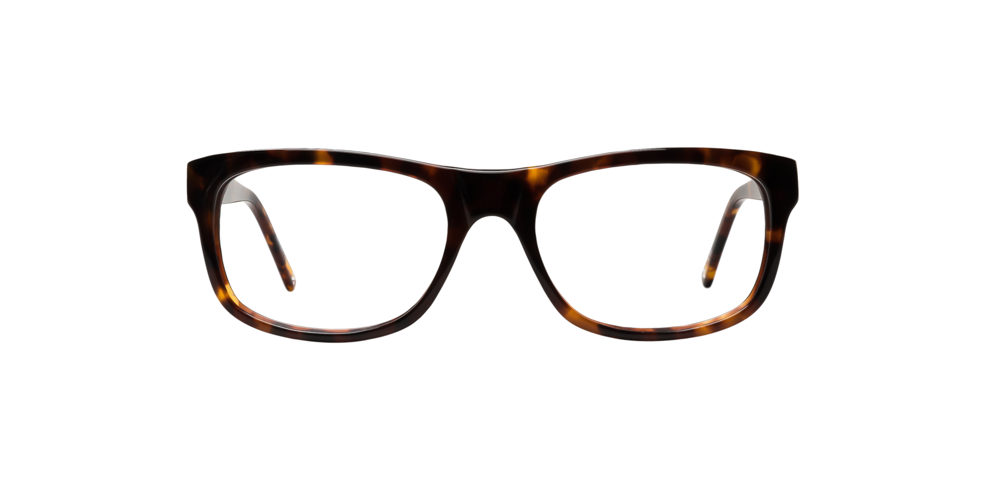 Clearly SEQUOIA Tortoise, Size: S