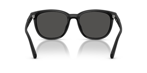 Coach Sunglasses HC8442U CCA00