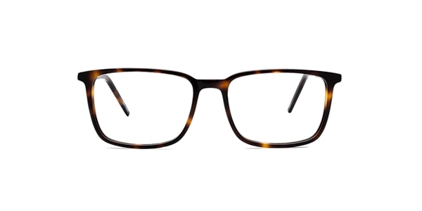 Clearly Glasses BIRCH