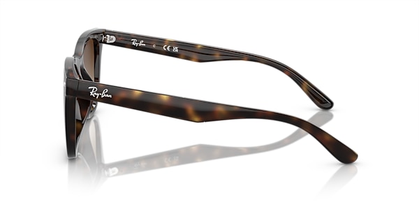 Ray-Ban Sunglasses RB4420