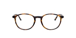 Clearly Glasses PINEHOUSE