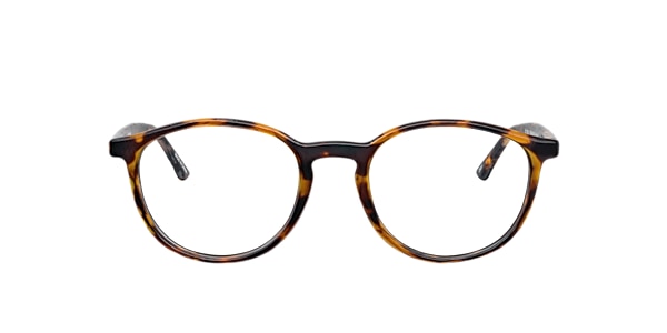 Clearly Glasses PINEHOUSE