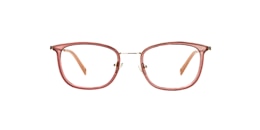 Clearly Glasses SPRUCE
