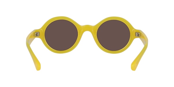 Clearly Sunglasses MOUNTAIN