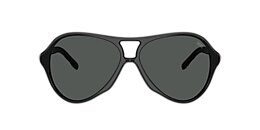Diesel Sunglasses DL2013U