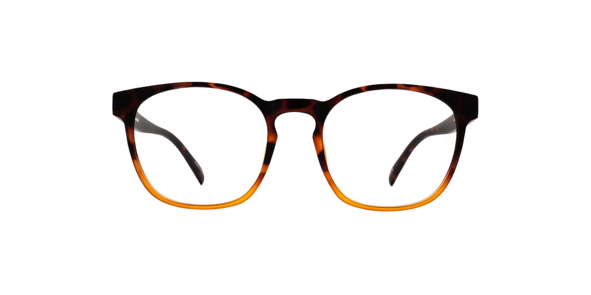 Clearly CRANE Gradient Havana Brown, Size: XS