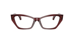 Versace Glasses VE3373U
