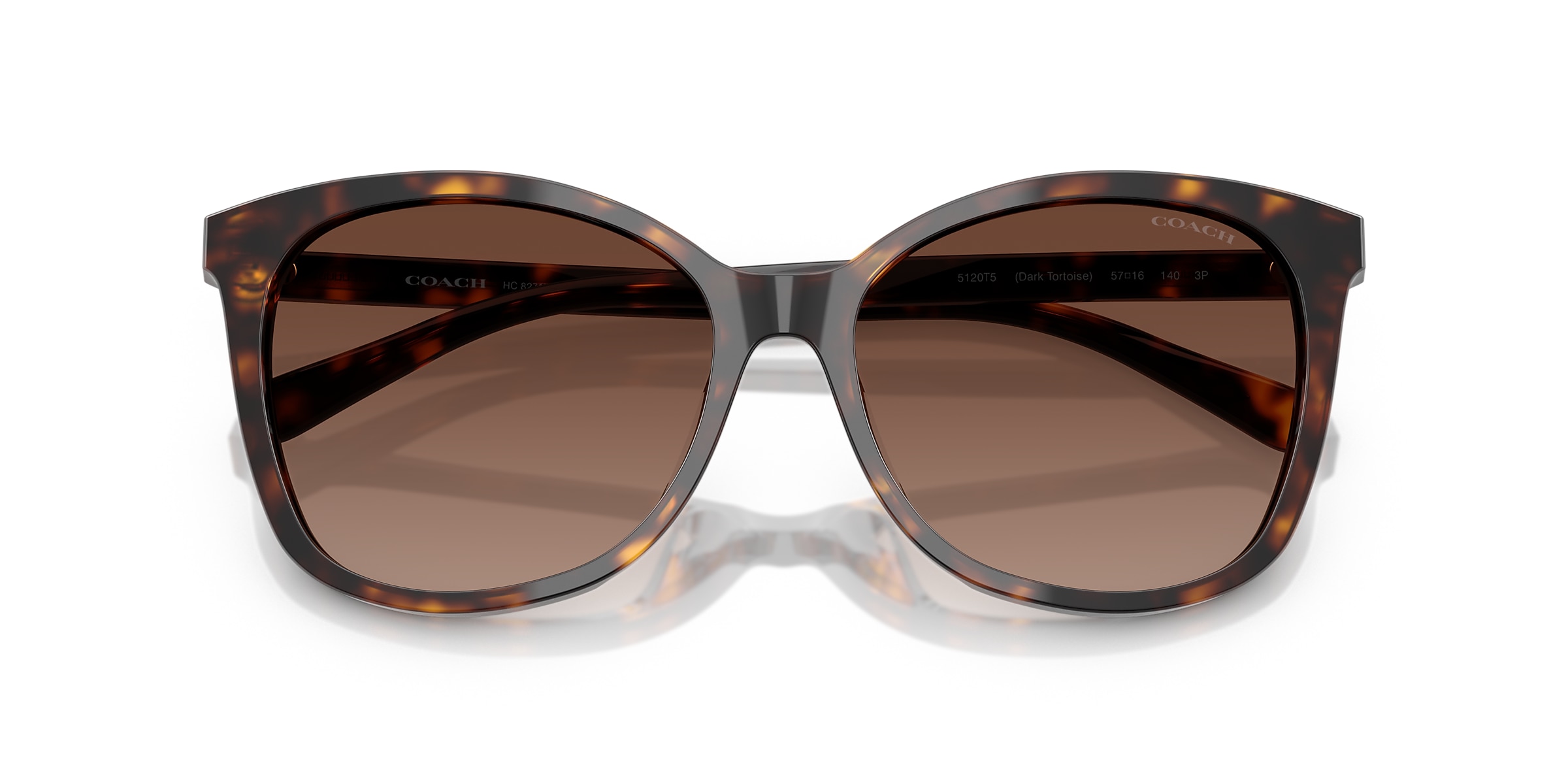 Coach Sunglasses HC8271U L1101