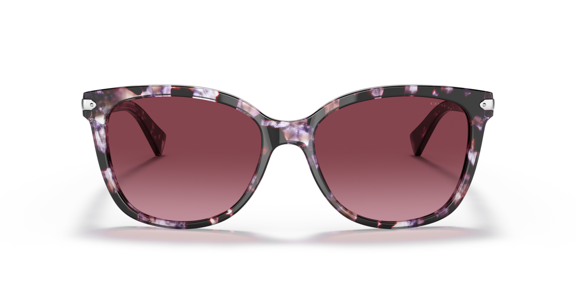Coach HC8132 L109 Purple Tortoise, Size: L