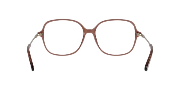 Clearly Glasses ELEPHANT
