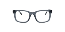 Clearly Glasses DILL