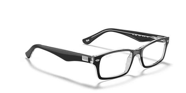RB5206 OPTICS