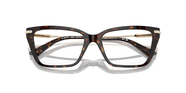 Jimmy Choo Glasses JC3002B