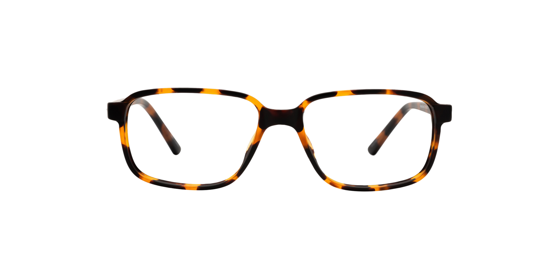 Clearly MAPLE CREEK Tortoise, Size: XXS