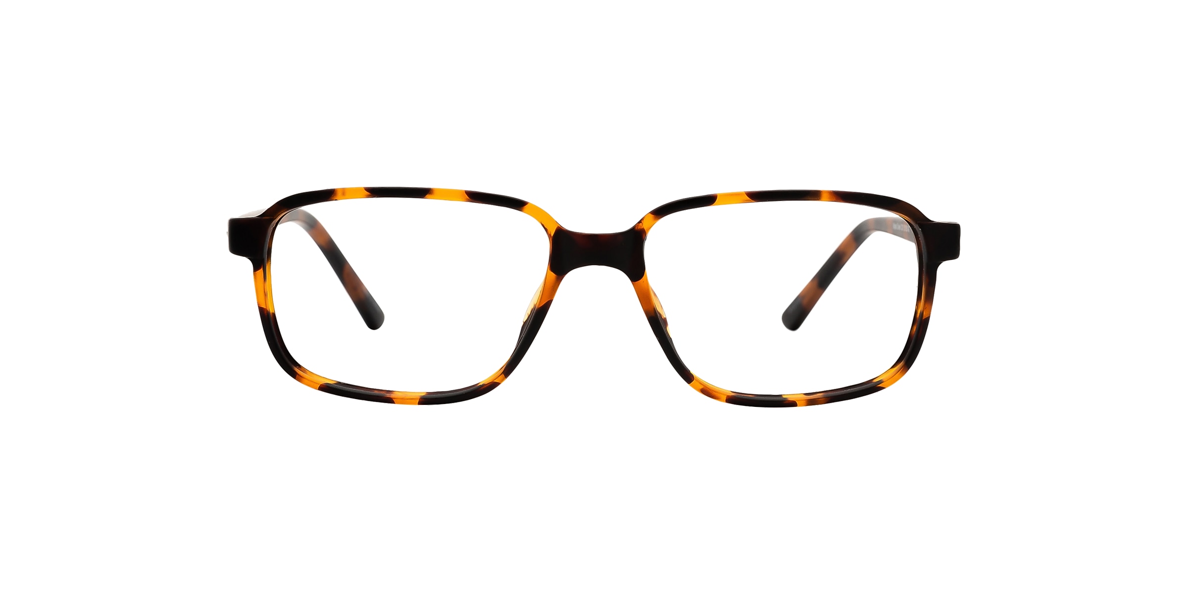 Clearly Glasses MAPLE CREEK