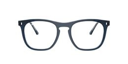 Ray-Ban Glasses RB2210V OPTICS