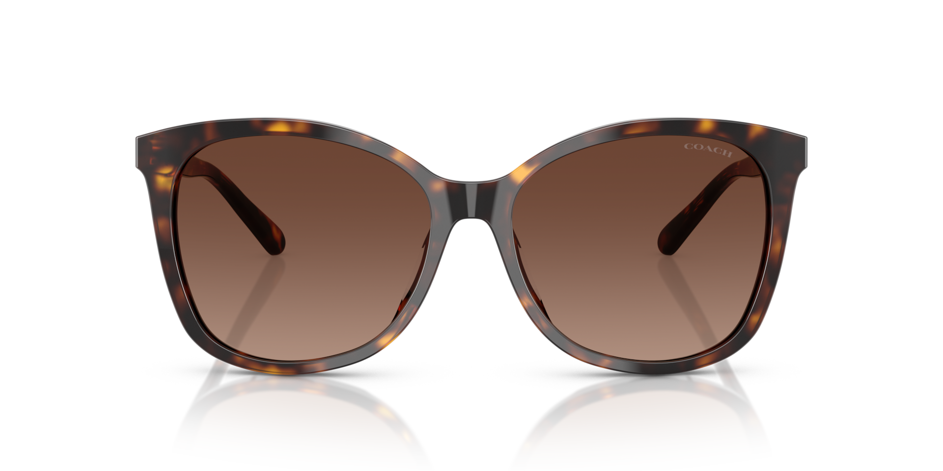 Coach HC8271U L1101 Dark Tortoise, Size: M