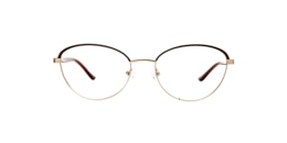Clearly Glasses EMILY