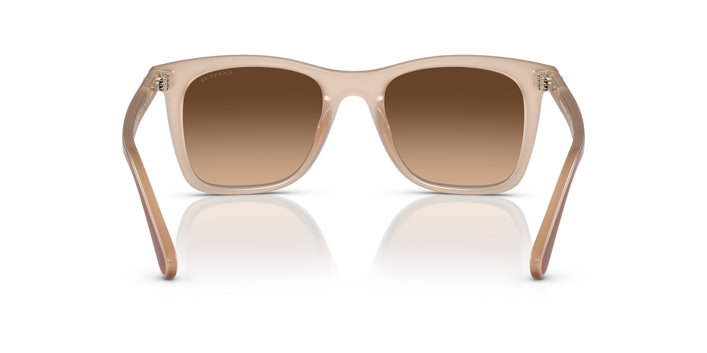 Coach Sunglasses HC8374U CH561
