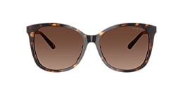 Coach Sunglasses HC8271U L1101