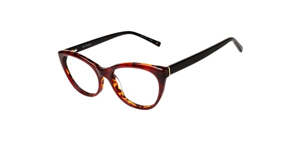 Clearly Glasses WILLOW