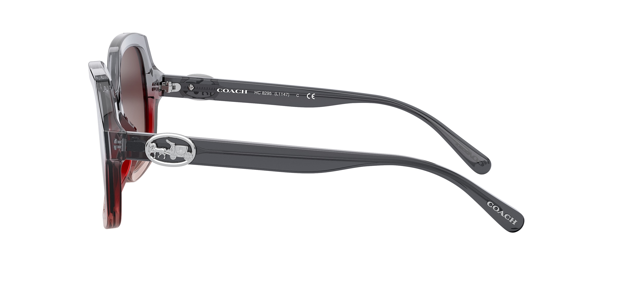 Coach Sunglasses HC8295 L1147