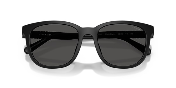 Coach Sunglasses HC8442U CCA00