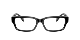 Diesel Glasses DL4002
