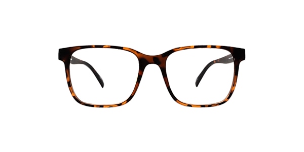 Clearly Glasses ALBATROSS