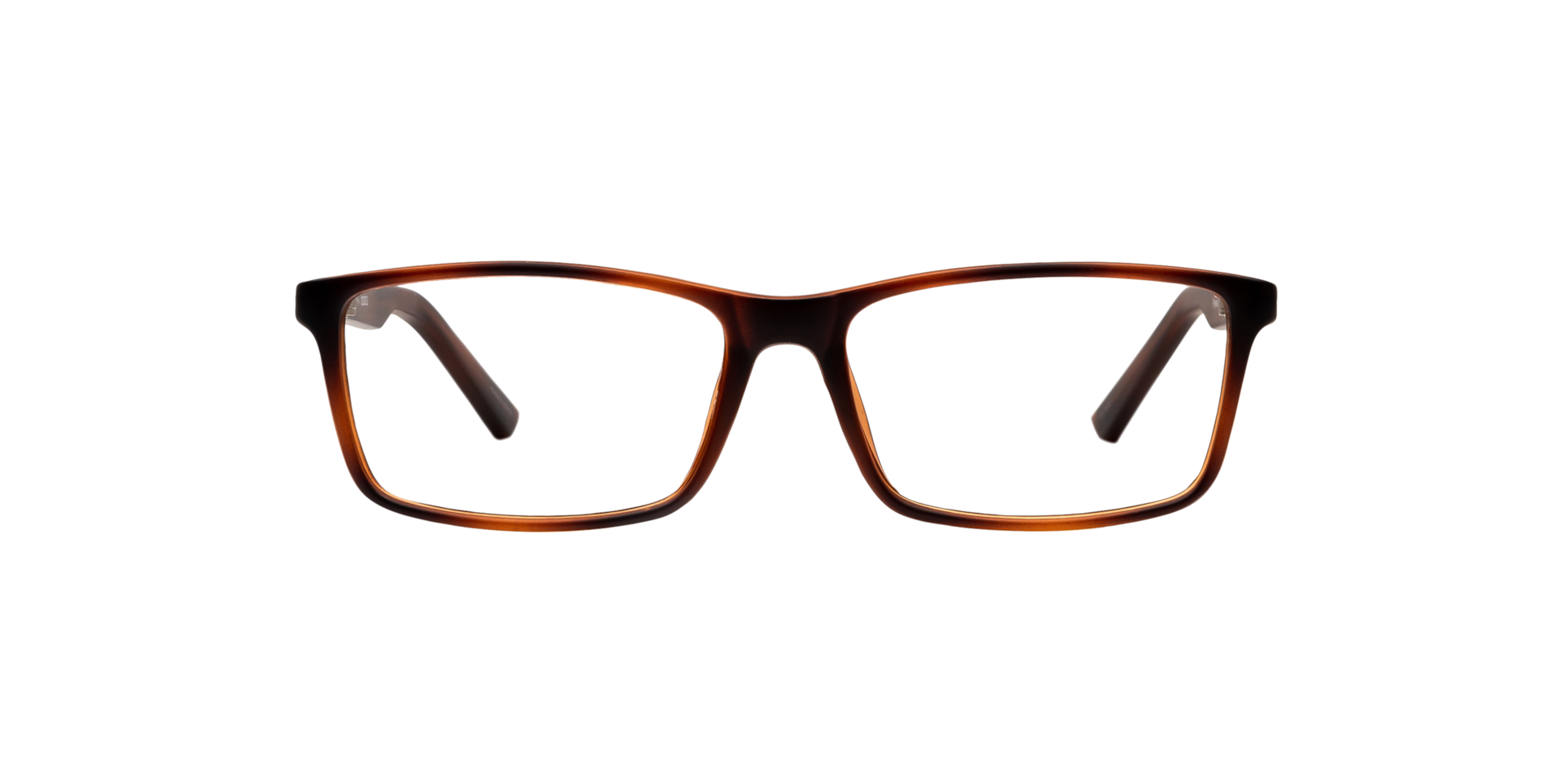 Clearly PINAWA Matte Havana, Size: XS