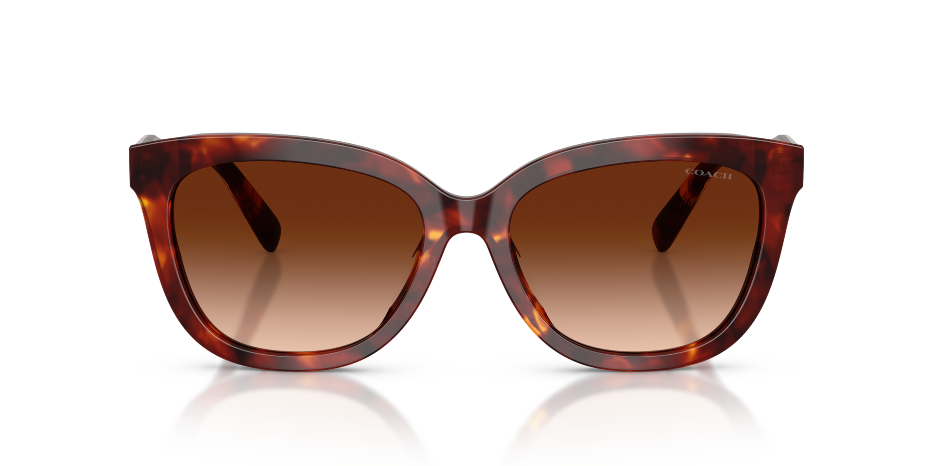Coach HC8453U CDP53 Walnut Tortoise, Size: L