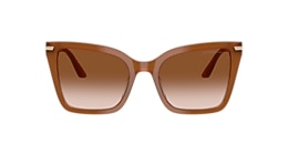 Emporio Armani Sunglasses EA4273BU