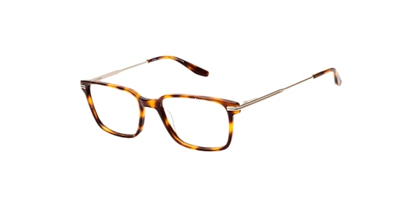Clearly Glasses BIXBY