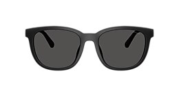 Coach Sunglasses HC8442U CCA00