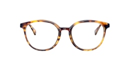 Clearly Glasses COESITE