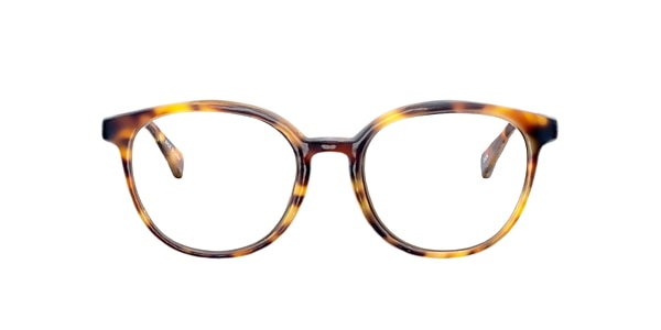 Clearly Glasses COESITE