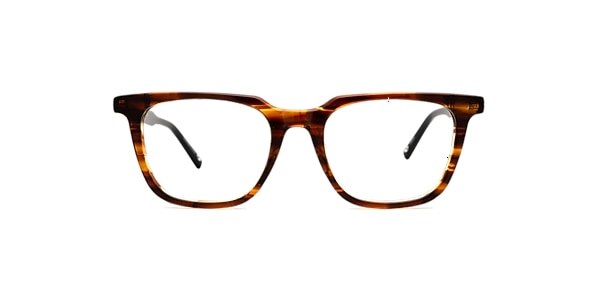 Clearly Glasses WINTHROP