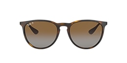 Ray-Ban Sunglasses RB4171F ERIKA CLASSIC